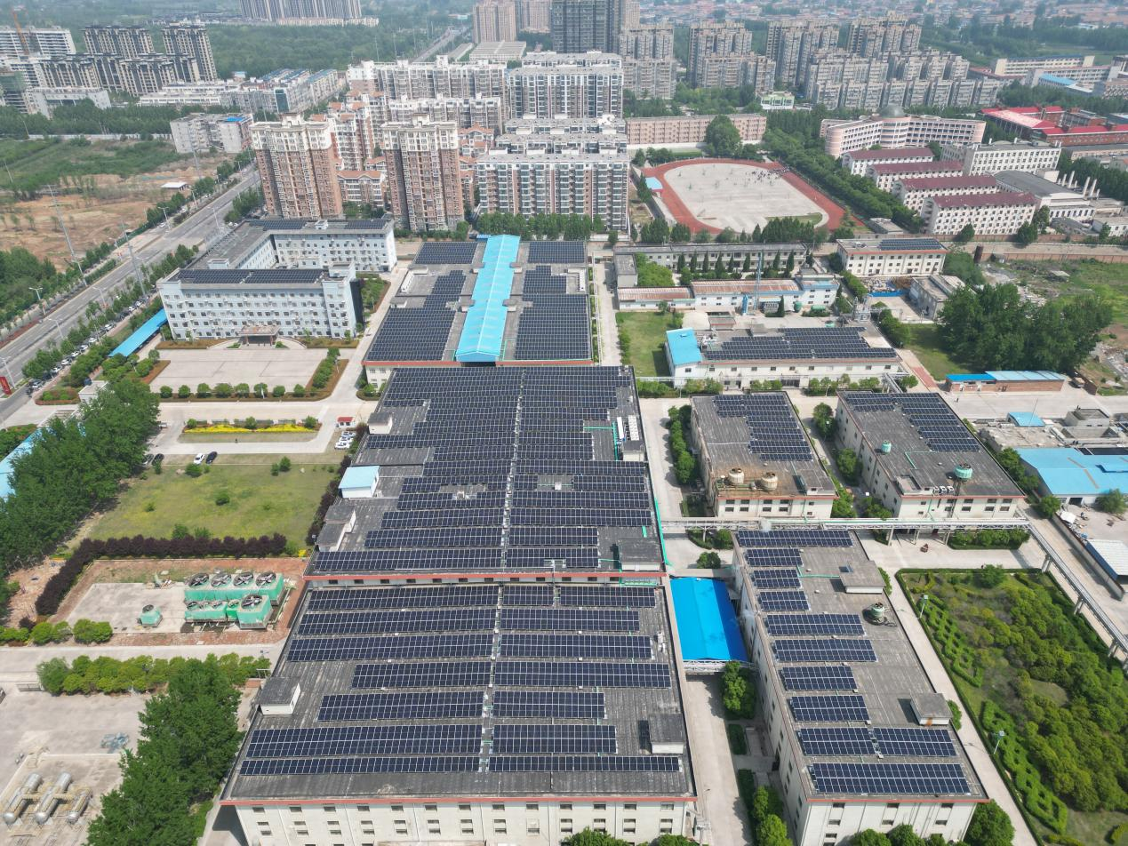 20230508113742_3478.png 20230508113742_3478.png